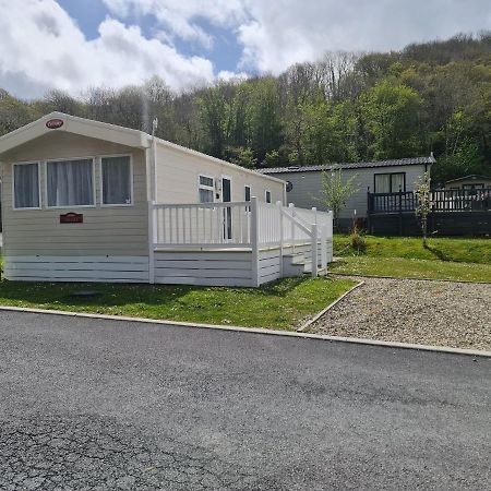 The Tiddler - Plot 101, Woodlands Lodge Retreat, New Quay, West Wales Llanina 外观 照片